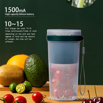 mini fruit juicer blender